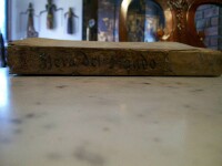 Spine