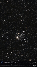 C13 December 15, 2025