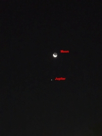 Annotated Image
