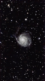 M101 June 12, 2026