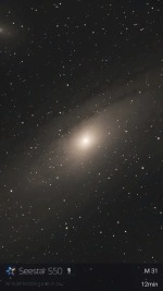 M31
