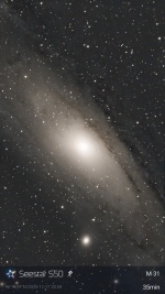 M31