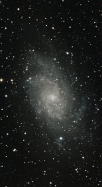 M33