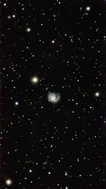 M99 June 16, 2026