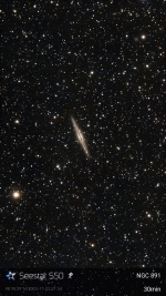 NGC 891