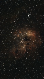 IC-410 January 21, 2026