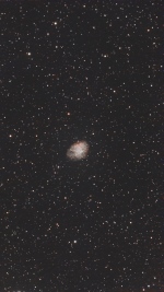 M1 January 21, 2026
