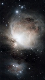 M42