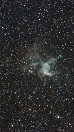 SH2-298 January 21, 2026