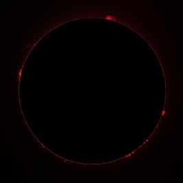 Prominences February 23, 2024