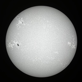 White Balanced Version of the Image