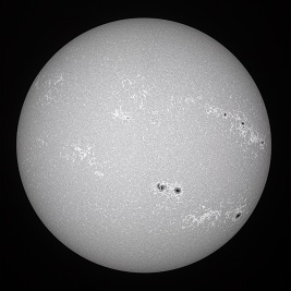 White Balanced Version of the Image