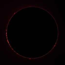 Prominences July 6, 2024