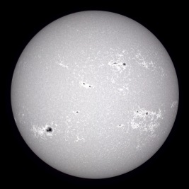 White Balanced Version of the Image