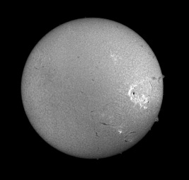 Sunspot 1520 and Prominences on July 14, 2012