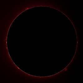 Prominences August 4, 2024
