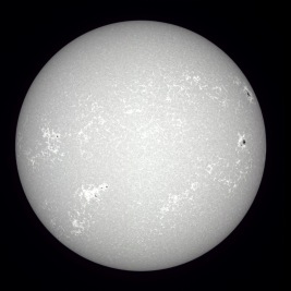 White Balanced Version of the Image