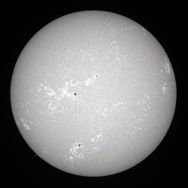 White Balanced Version of the Image