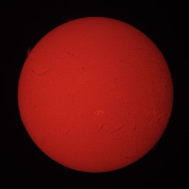 Sun Hydrogen Alpha November 12, 2023