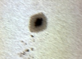 Sunspot 822 on Nov. 18, 2005