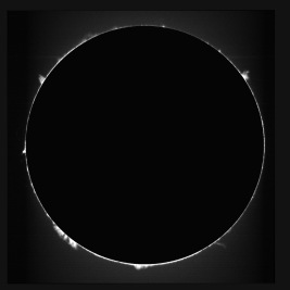 Prominences November 18, 2023