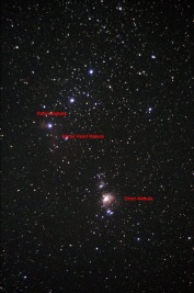 Orion