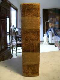 Spine