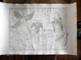 Bode Uranographia Print - Plate VIII - 1801