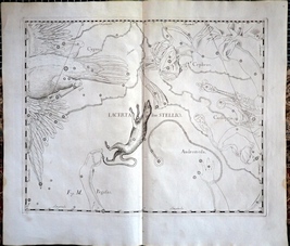 Print from Hevelius' Prodromus Astronomiae 1690 - Lacerta